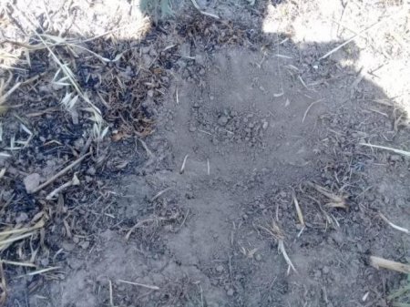 Müdafiə Nazirliyi: Ermənistan silahlı qüvvələri mövqelərimizi minaatanlardan atəşə tutub