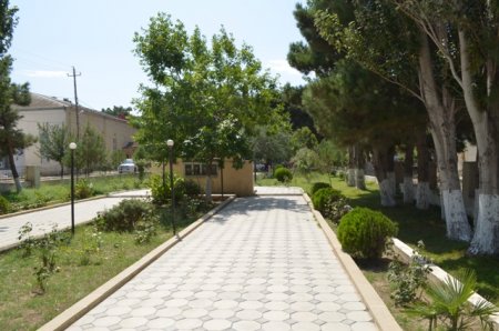 “Bələdiyyələrin yerli əhəmiyyətli məsələlərin həllində rolu” mövzusunda müxbirimizin Bakı şəhər Saray qəsəbəsinə ezamiyyəti