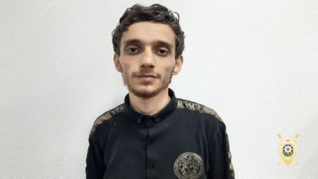 Gənc qadın qonşusunun evinin açarını ələ keçirdi, iti hamama salıb, “şərikləri” ilə ev soydu - FOTO