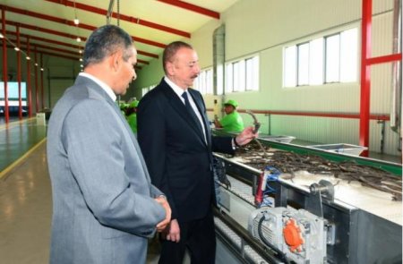 Prezidentin iştirakı ilə Ağdaşda Biyan Sənaye Parkının açılışı olub - FOTOLAR