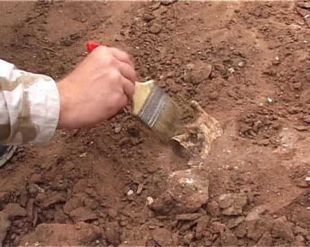 Zaqatalada qızıl xəzinəsi tapıldı - Əraziyə kimsə buraxılmır, qoşun yeridildi