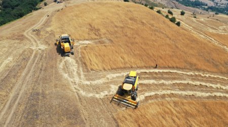Lerikin dağ kəndində yeni nəsil kombaynların iştirakı ilə biçin aparılıb