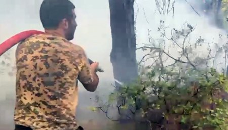 FHN-in yanğınsöndürmə qüvvələri Türkiyədə yanğınlarla mübarizəni davam etdirir