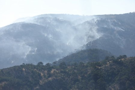 FHN-in aviasiya dəstəsinin iştirakı ilə Türkiyənin Köycəğiz rayonunda yanğınların söndürülməsi əməliyyatları davam etdirilir