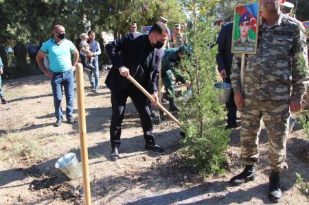Yevlaxda Anım gününə həsr edilmiş tədbir keçirildi