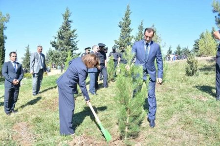 27 Sentyabr - Anım Günü Şamaxı rayonunda da silsilə tədbirlərlə qeyd olunub. 27 Sentyabr - Anım Günü Şamaxı rayonunda da silsilə tədbirlərlə qeyd olunub.