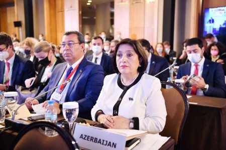 Milli Məclisin sədri Parlament Sədrlərinin Avropa Konfransında çıxış edib