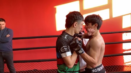 Əli Əliyev MMA üzrə Qran-Pri yarışının qalibi olub