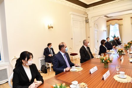 Milli Məclisin sədri Sahibə Qafarova Riqada Latviya Seyminin sədri ilə görüşüb