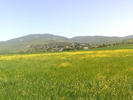 Elxas  COMƏRD - Ləngəbiz.