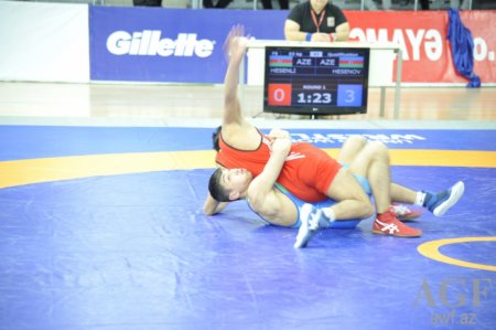 Güləş üzrə Azərbaycan çempionatının ilk gününün qalibləri müəyyənləşib