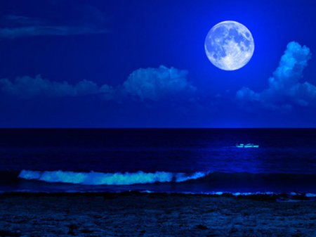 Aydan gəlmiş qonağım - Şəhla YAŞAR