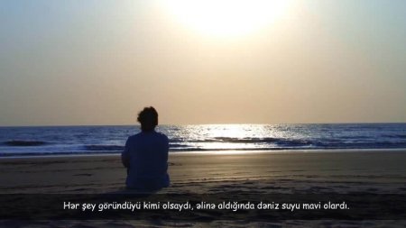 Duyğular - Cümşüd Aydəmirov
