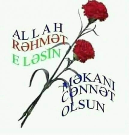 HƏYATSEVƏR VƏ NİKBİN İNSAN - Daşdəmir ƏJDƏROĞLU