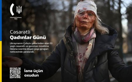 Ukrayna səfiri azərbaycanlılardan kömək istədi – FOTO