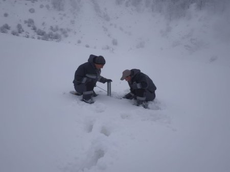 Asif Verdiyev: Böyük Qafqazın dağlıq ərazilərində qarölçmə işləri davam etdirilir