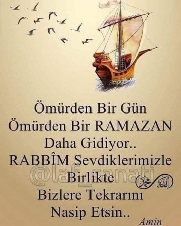 ŞÜKÜRLƏR DESİN - Şəhla XƏLİLQIZI