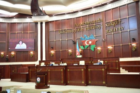 Milli Məclisin plenar iclasında 20 məsələyə baxılıb