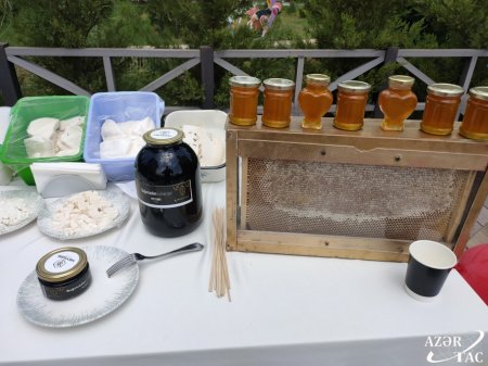 Şamaxıda növbəti dəfə Qida Festivalı təşkil olunubŞamaxıda növbəti dəfə Qida Festivalı təşkil olunub