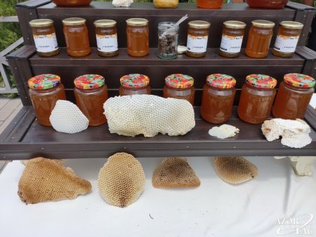 Şamaxıda növbəti dəfə Qida Festivalı təşkil olunubŞamaxıda növbəti dəfə Qida Festivalı təşkil olunub