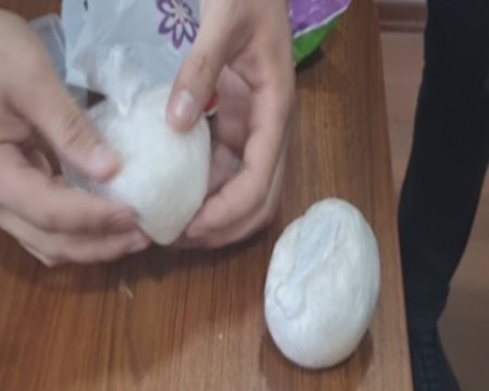 Qəbələdə külli miqdarda “patı” və digər narkotik vasitələr dövriyyədən çıxarılıb