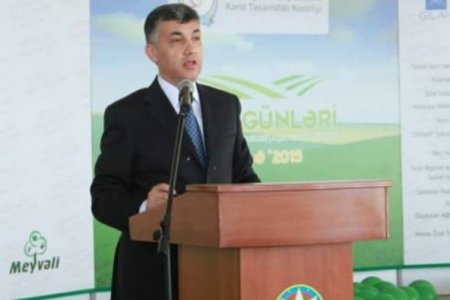 SON DƏQİQƏ: Gömrük işinə görə daha bir vəzifəli şəxs HƏBS EDİLDİ - FOTO