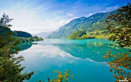 Sevməyi sən öyrətmədinmi? - Şəhla XƏLİLQIZI