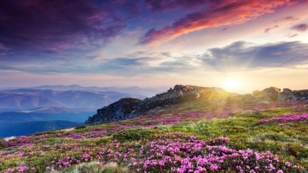 Sevməyi sən öyrətmədinmi? - Şəhla XƏLİLQIZI