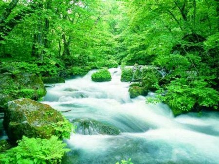 Sənsizliklər...ElzaDəniz Nur....FOTO