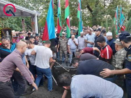 Toyuna 24 gün qalmış şəhid oldu - Fotolar