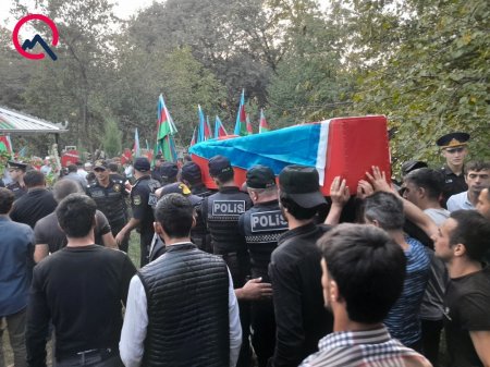 Toyuna 24 gün qalmış şəhid oldu - Fotolar