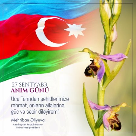 Mehriban Əliyeva: Uca Tanrıdan şəhidlərimizə rəhmət, onların ailələrinə güc və səbr diləyirəm