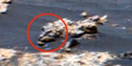 Amerika Milli Aeronavtika və Kosmik Tədqiqatlar İdarəsi (NASA) Marsda bir zamanlar həyatın olub-olmadığını izləməyə davam edir.