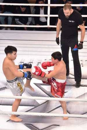 Azərbaycanda ilk dəfə NGF peşəkar MMA və kikboksinq gecəsi