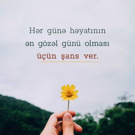 Elza Dəniz Nur: Şeir nədir? Elza Dəniz Nur: Şeir nədir?