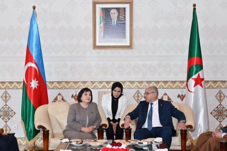 Milli Məclisin sədri Sahibə Qafarova Əlcəzairdə səfərdədir - FOTO
