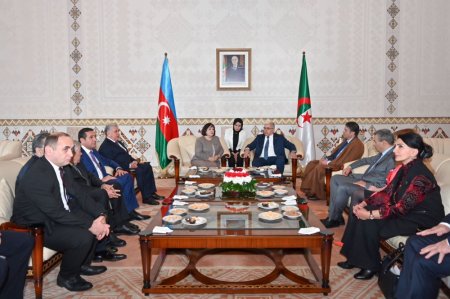 Milli Məclisin sədri Sahibə Qafarova Əlcəzairdə səfərdədir - FOTO