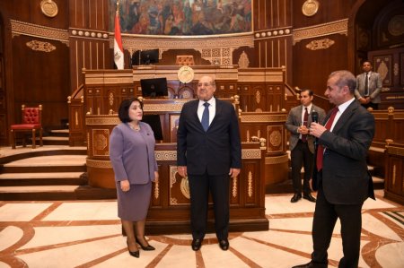 Sahibə Qafarova Misir Senatının sədri ilə görüşüb - FOTOLAR