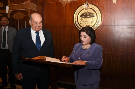 Sahibə Qafarova Misir Senatının sədri ilə görüşüb - FOTOLAR