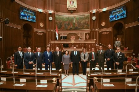 Sahibə Qafarova Misir Senatının sədri ilə görüşüb - FOTOLAR