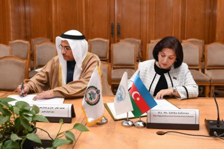 Milli Məclisin sədri Sahibə Qafarova Ərəb Parlamentinin Prezidenti ilə görüşüb