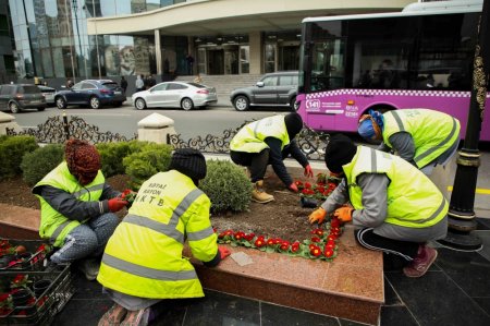 “Ana fəryadı” abidəsinin yerləşdiyi parkda abadlıq işləri aparılır - FOTOLAR “Ana fəryadı” abidəsinin yerləşdiyi parkda abadlıq işləri aparılır - FOTOLAR