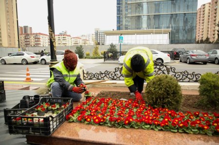 “Ana fəryadı” abidəsinin yerləşdiyi parkda abadlıq işləri aparılır - FOTOLAR “Ana fəryadı” abidəsinin yerləşdiyi parkda abadlıq işləri aparılır - FOTOLAR