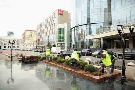 “Ana fəryadı” abidəsinin yerləşdiyi parkda abadlıq işləri aparılır - FOTOLAR “Ana fəryadı” abidəsinin yerləşdiyi parkda abadlıq işləri aparılır - FOTOLAR