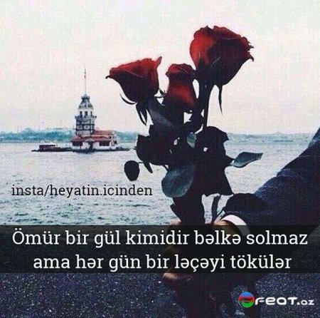 SOLMAZ ŞİRİN: QORU İNSANLIĞI - FOTO