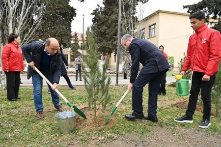 Ulu Öndər Heydər Əliyevin 100 illik yubileyi ilə əlaqədar ağacəkmə kampaniyasına start verilib