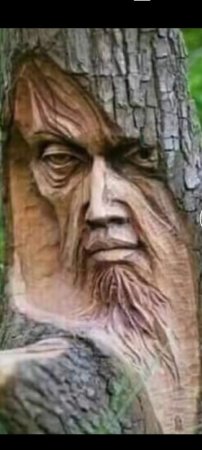 QIZBƏS QƏBƏLƏ: ÖMÜR BƏLKƏ  YUXUDUR - FOTO