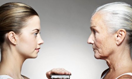 Gözümüzün önündə olan bu bitki qocalmanın qarşısını alırmış - FOTOLAR