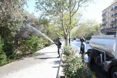 Bu gün Bakının 533 küçəsi yuyulub - FOTOLAR Bu gün Bakının 533 küçəsi yuyulub - FOTOLAR