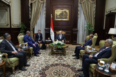 Vitse-spiker Adil Əliyev Misir Ərəb Respublikası Senatının sədri ilə görüşüb - FOTO